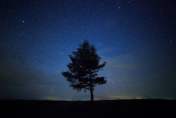 istock beautiful night sky, the Milky Way and the trees 521687769