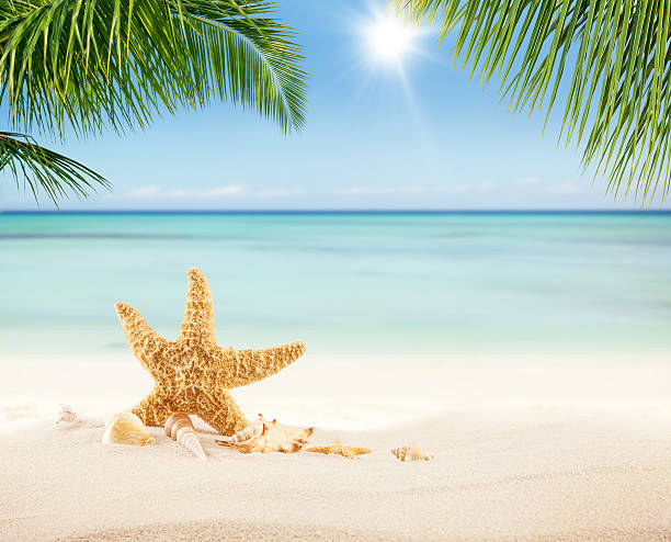 istock Summer sandy beach with blur ocean on background 521688110
