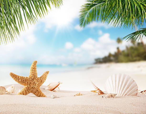 istock Summer sandy beach with blur ocean on background 521688258