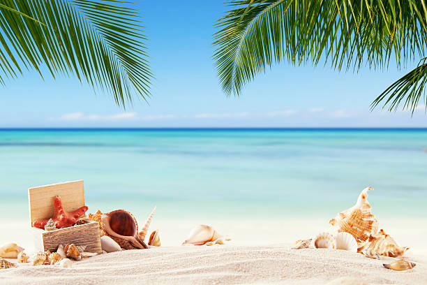 istock Summer sandy beach with blur ocean on background 521688308