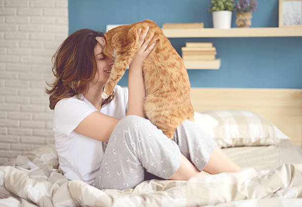 girl and cat girl sitting on the bed in the bedroom, holds a red cat on hands cat with clothes stock pictures, royalty-free photos & images