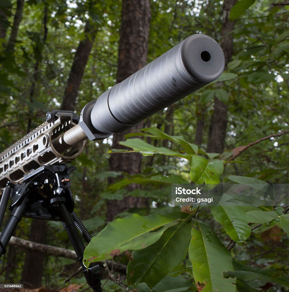 Quiet firearm Modern sporting rifle in a forest with a suppressor mounted Barrel Stock Photo