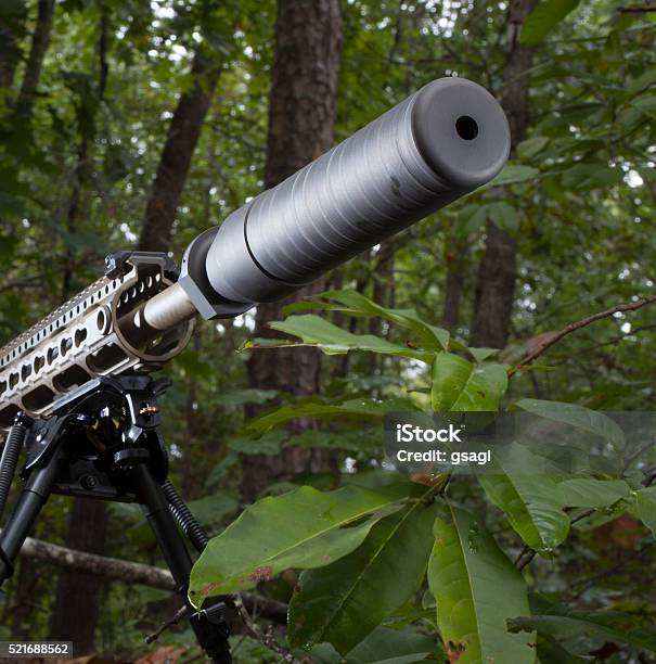 Quiet Firearm Stock Photo - Download Image Now - Barrel, Black Color, Branch - Plant Part