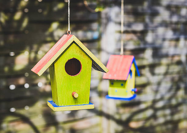 istock Two old weathered DIY birdhouses hanging from the tree 521689768