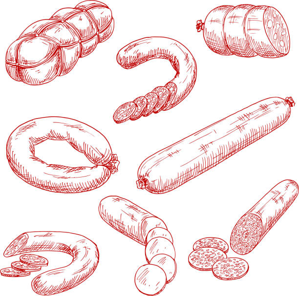 Assortment of fresh meat sausages red sketch icons Smoked meat sausages red sketch drawings with frankfurters, salami, blood sausage, spicy pepperoni, mortadella with cubes of fat and bologna rings. Use as butcher shop, restaurant menu or recipe book design butcher illustrations stock illustrations