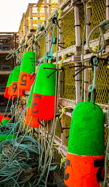 istock lobster fishing buoys 521690452