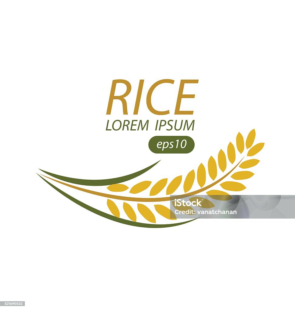 2d Rice Vector Rice Vector Illustration Stock Illustration - Download Image Now ...