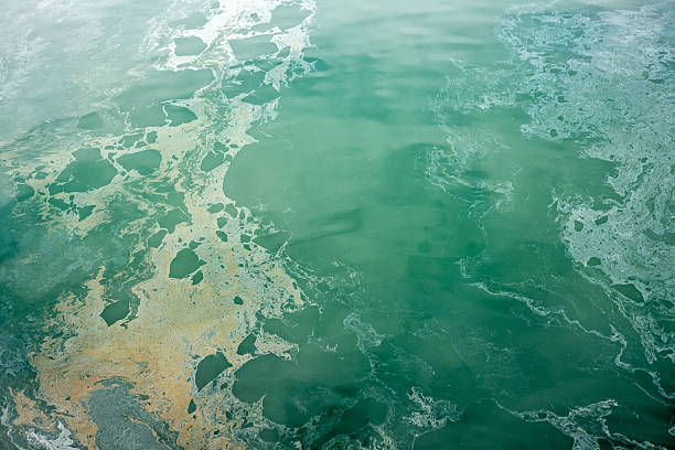 zanieczyszczenie na ocean - pollution sea toxic waste garbage zdjęcia i obrazy z banku zdjęć