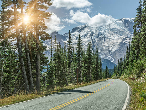 istock winding road to MT.Rainier 521695232