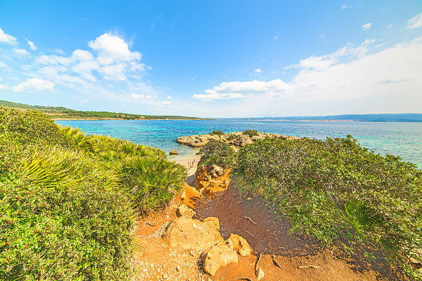 istock colorful seascape in Alghero 521696378