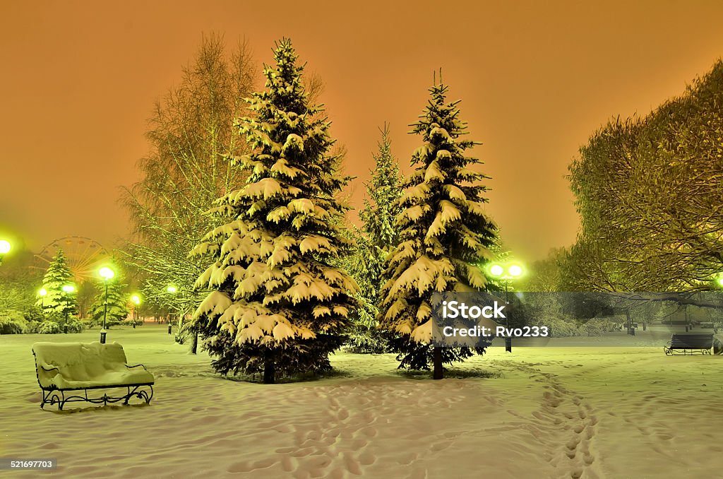 Romantic winter evening in a city park Snow-covered spruces, benches in the warm glow of lanterns - a fairy tale of the winter evening Christmas Stock Photo