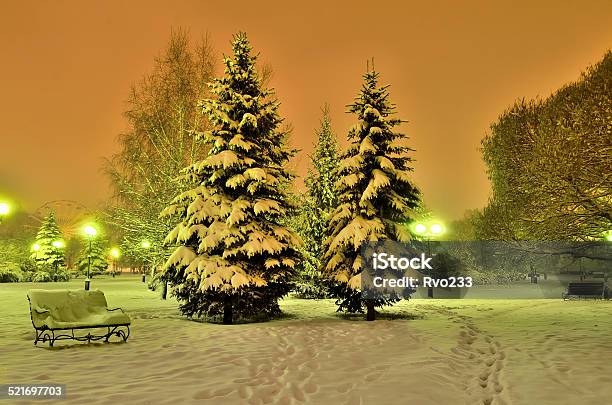 Romantic Winter Evening In A City Park Stock Photo - Download Image Now - Christmas, Environment, Fir Tree