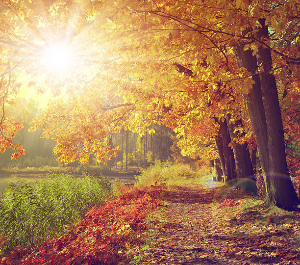 istock Vintage autumnal landscape 521699013