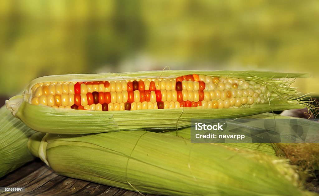 gmo food Genetic Modification Stock Photo