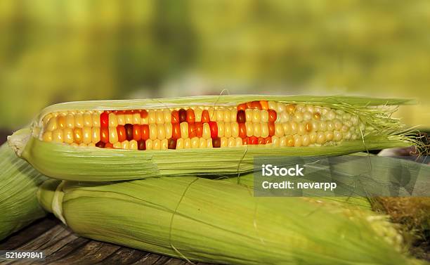 Gmo Food Stock Photo - Download Image Now - Genetic Modification, Corn, Corn - Crop