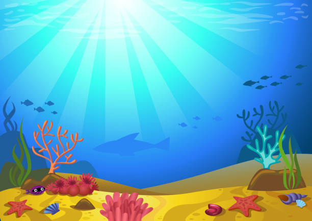morza z korali - animal animal themes sea below stock illustrations