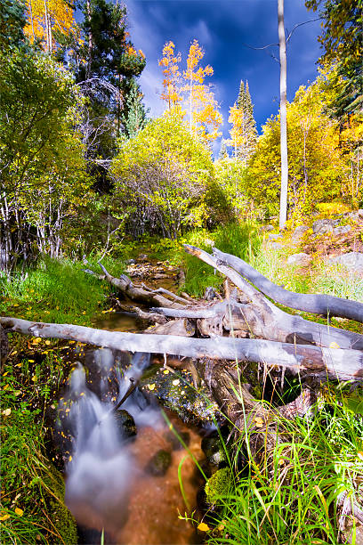 Silky flowing stream surrounded by fall foliage near Santa Fe, NM