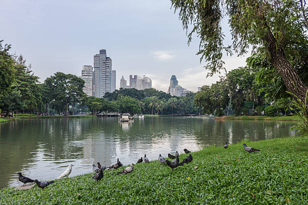 istock Modern building with lake and pigeons 521701667