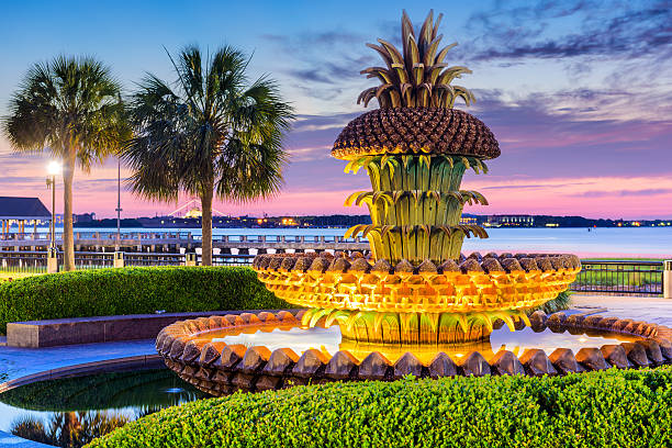 istock Charleston South Carolina Park 521701834