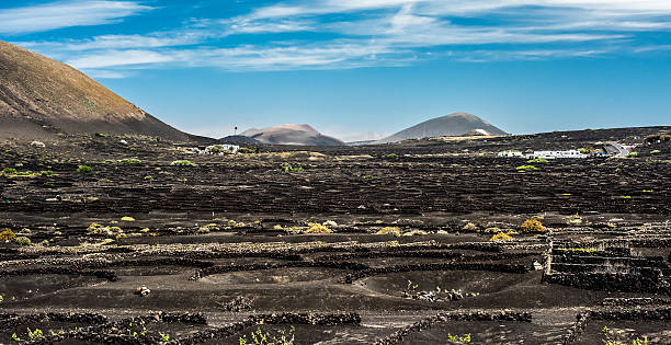 istock large vineyards near volcanic mountains 521702124