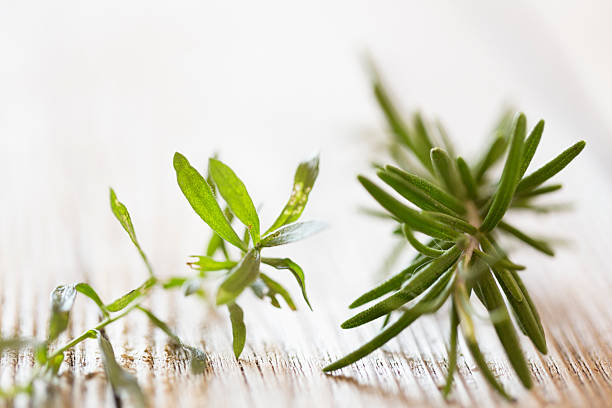 istock fresh tarragon and rosemary on wood 521702585