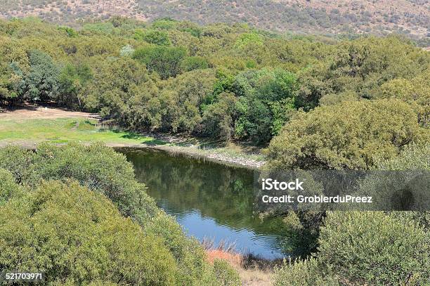 Dam In The Free State Botanical Gardens Stock Photo - Download Image Now - Africa, Bloemfontein, Botanical Garden