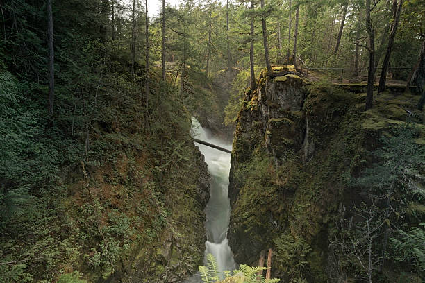 istock Little Qualicum  Upper Falls Provincial Park 521707850