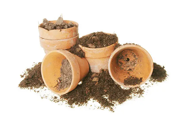 Group of terracotta plant pots and soil