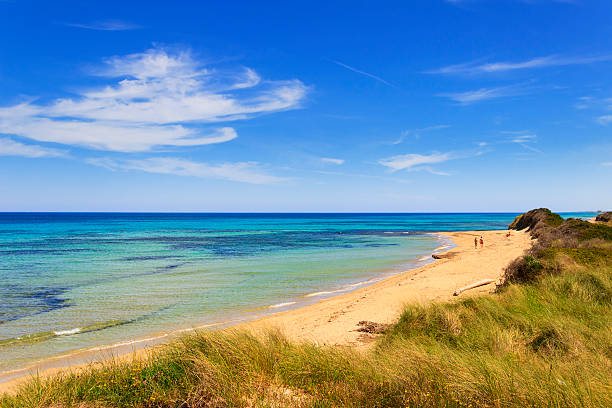 Summer seascape: The Regional Natural Park Dune Costiere.BRINDISI (Apulia)-ITALY The Regional Natural Park Dune Costiere, from Torre Canne to Torre San Leonado, covers the territories of Ostuni and Fasano on approximately 1,100 acres along eight kilometers of coastline and extends until the internal agricultural areas occupied by centuries-old olive groves and ancient farms. The park area is characterized by a high diversity of environments. Proceeding from the sea inland there are the beaches, the dunes, the wetland area behind the dunes, fossil dunes, lame and ancient olive groves. In the protected area there are numerous natural habitats, some of which are likely to disappear from the EU territory and require a special attention. puglia beach stock pictures, royalty-free photos & images