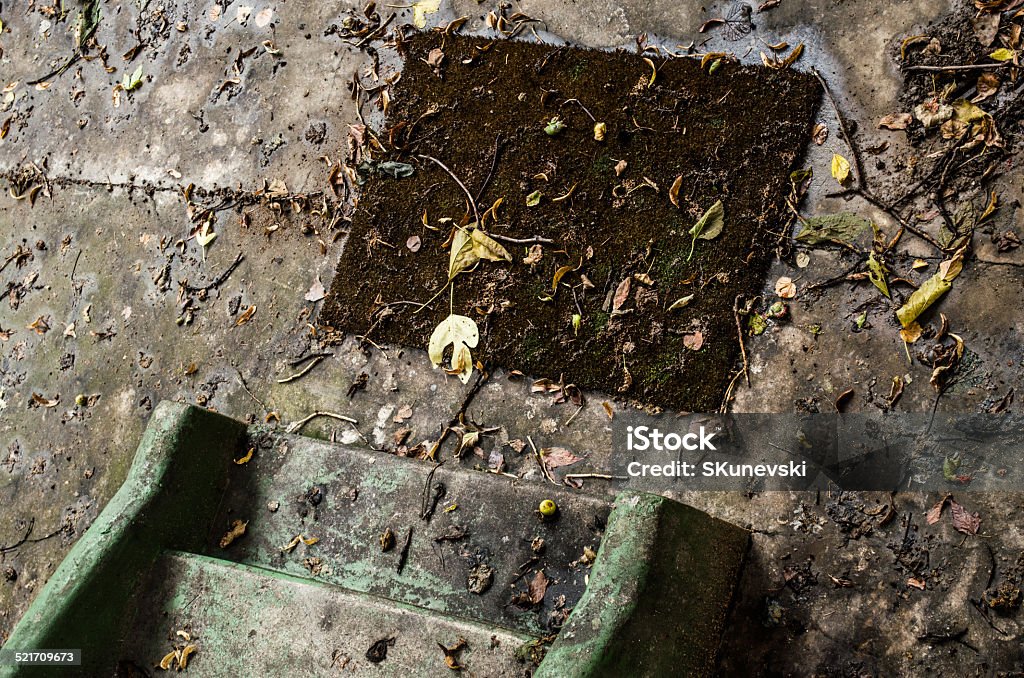 Stairs with leaves of fall Angle Stock Photo