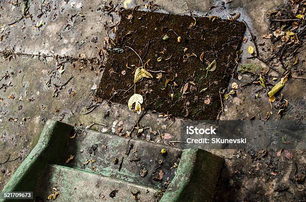 Stairs With Leaves Of Fall Stock Photo - Download Image Now - Angle, Autumn, Built Structure