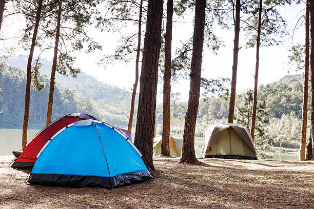 istock Tents in camping site near lake 521710254