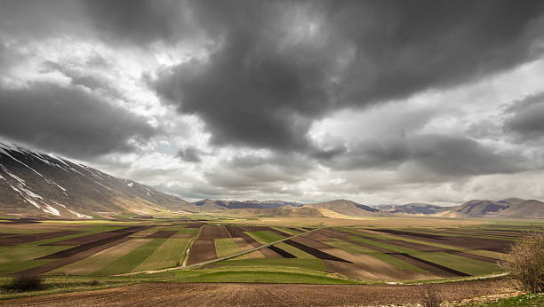 istock view of the fields of Italy 521710343