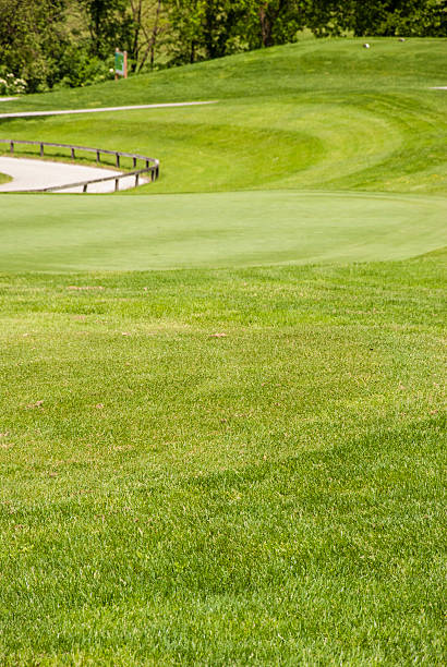 campo de golfe verde - sports flag high angle view putting sand imagens e fotografias de stock