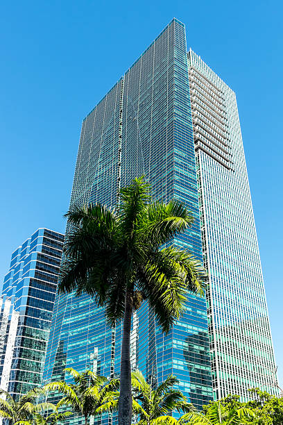 istock Palm tree and tall building in Urban Miami 521711777