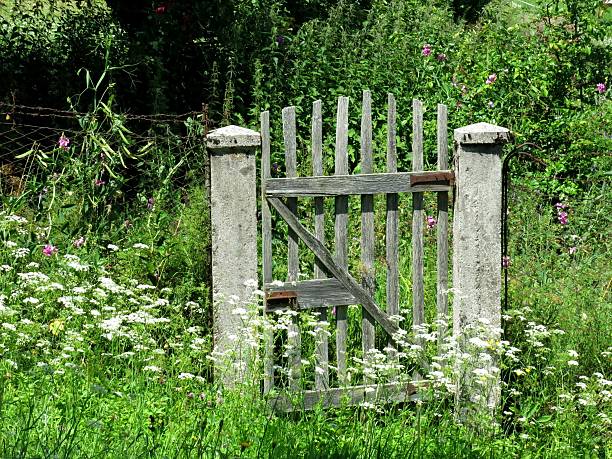 Garden Wooden Gate Flowers