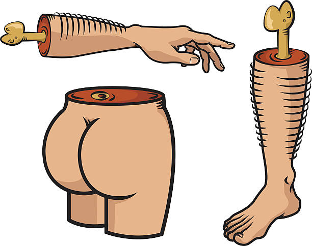 Body parts Some oversimplified parts of the human body in comical cartoon style. buttocks stock illustrations