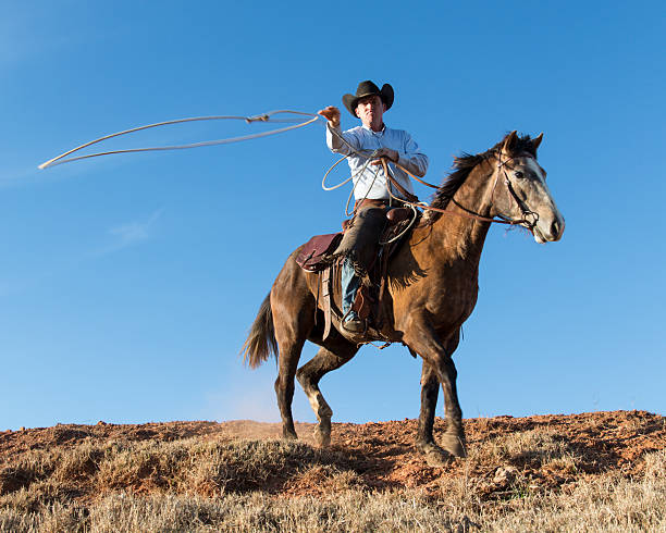 A cowboy on horseback throws a lasso directly toward the viewer, with loop caught mid-air