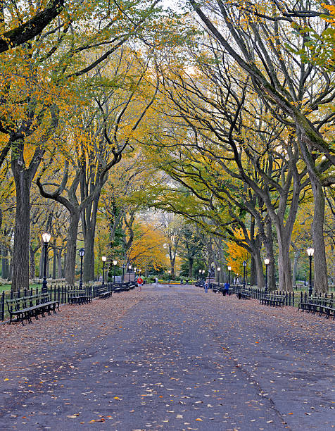 istock Autumn Color: Fall Foliage in Central Park, Manhattan New York 521725467