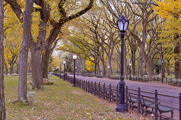 istock Autumn Color: Fall Foliage in Central Park, Manhattan New York 521725471