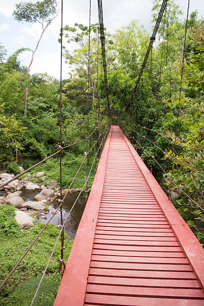 istock Red wooden suspension bridge 521725591