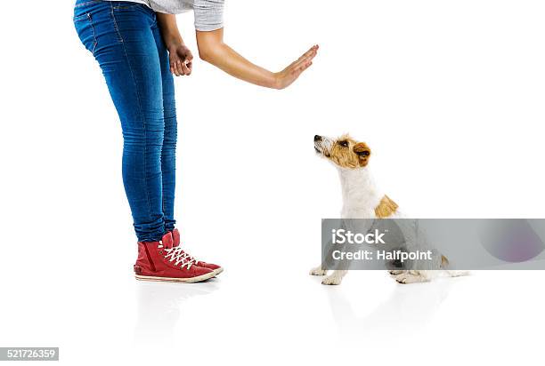 Woman Training Dog Isolated Stock Photo - Download Image Now - Dog, Instructor, Cut Out