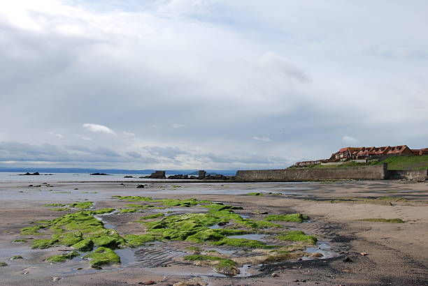 kirkcaldy ビーチ - scotland fife firth of forth waterbreak ストックフォトと画像