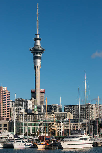 istock Auckland marina with Sky Tower 521727613