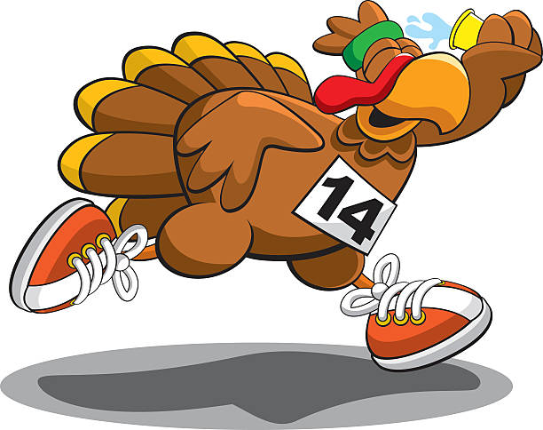 turkey trot 2014 - turkey thanksgiving cartoon animated cartoon stock-grafiken, -clipart, -cartoons und -symbole