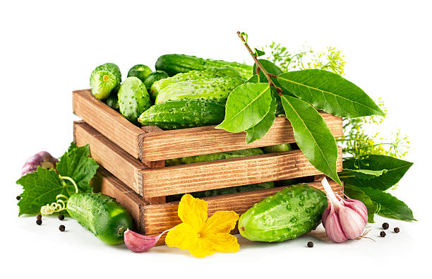 frische gurken in holz kiste mit grünen blättern und blumen - laurel bay leaf leav stock-fotos und bilder