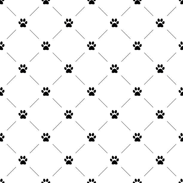 Pattern Patas 30.500+ Footprints Pattern Ilustraciones de Stock, gráficos vectoriales ...