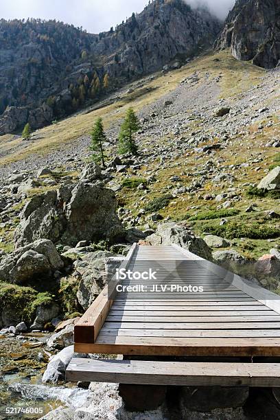 Bridge Over A Mountain Stream Stock Photo - Download Image Now - Alpes-Maritimes, Animal, Bridge - Built Structure