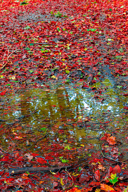 istock Hiking and nature trails 521747407