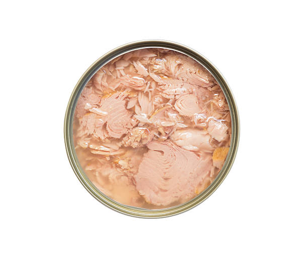 istock Canned tuna isolated on white background 521757725